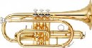 cornet